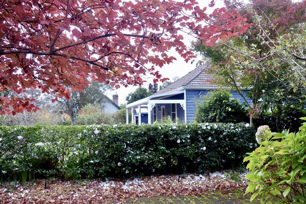 Poet'S Cottage - Fireplace, Close To Treks Wentworth Falls Luaran gambar